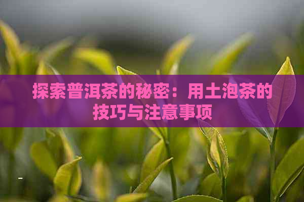 探索普洱茶的秘密：用土泡茶的技巧与注意事项