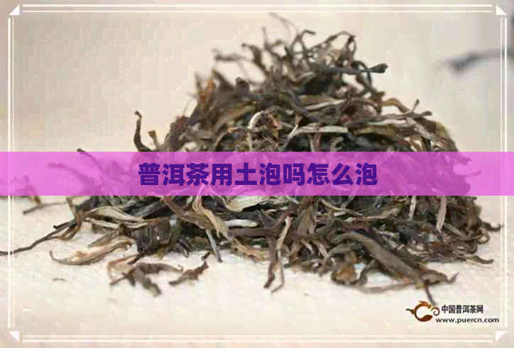 普洱茶用土泡吗怎么泡