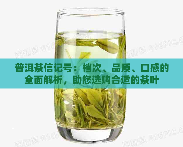 普洱茶信记号：档次、品质、口感的全面解析，助您选购合适的茶叶