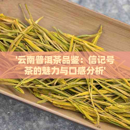 '云南普洱茶品鉴：信记号茶的魅力与口感分析'