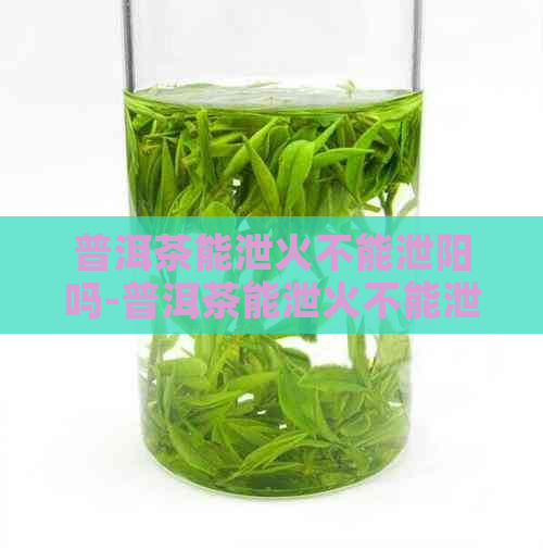 普洱茶能泄火不能泄阳吗-普洱茶能泄火不能泄阳吗为什么