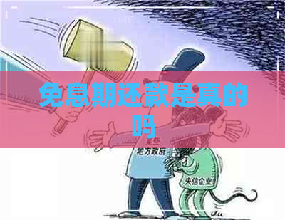 免息期还款是真的吗