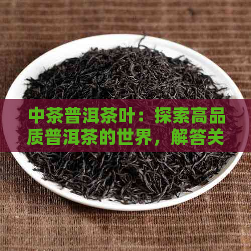 中茶普洱茶叶：探索高品质普洱茶的世界，解答关于茶叶的各类问题