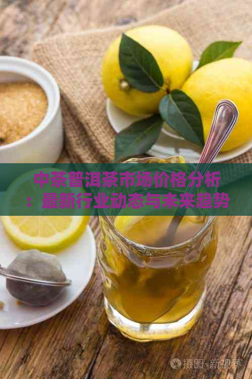 中茶普洱茶市场价格分析：最新行业动态与未来趋势