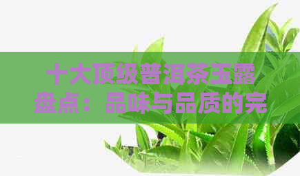 十大顶级普洱茶玉露盘点：品味与品质的完美结合