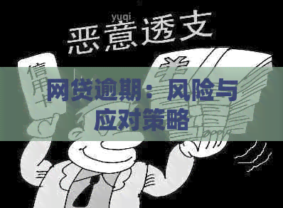 网贷逾期：风险与应对策略