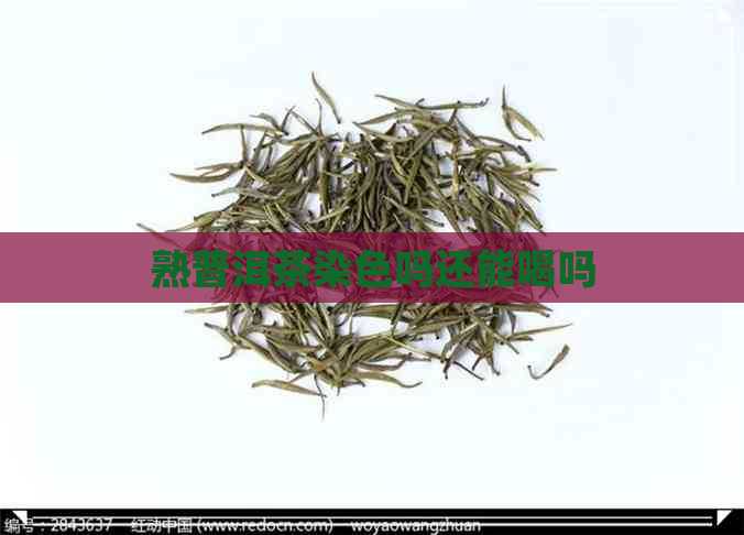 熟普洱茶染色吗还能喝吗