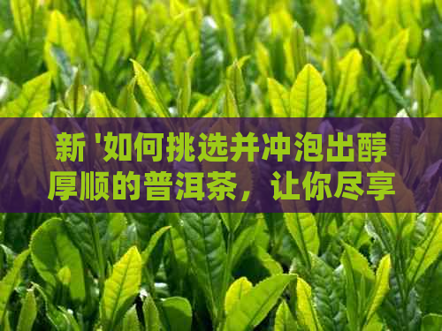 新 '如何挑选并冲泡出醇厚顺的普洱茶，让你尽享品茗之乐'