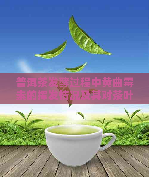 普洱茶发酵过程中黄曲霉素的挥发情况及其对茶叶品质的影响