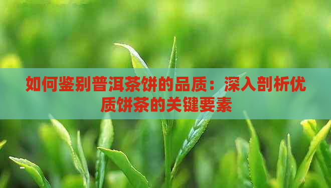 如何鉴别普洱茶饼的品质：深入剖析优质饼茶的关键要素