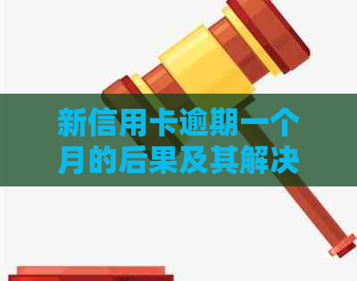 新信用卡逾期一个月的后果及其解决方案：用户全面指南