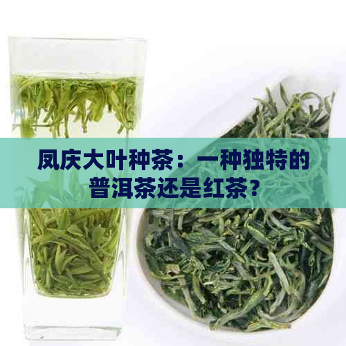 凤庆大叶种茶：一种独特的普洱茶还是红茶？