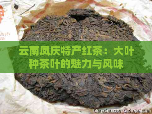 云南凤庆特产红茶：大叶种茶叶的魅力与风味