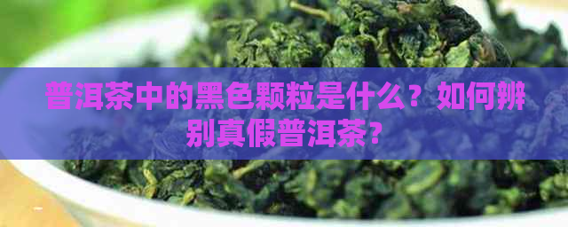 普洱茶中的黑色颗粒是什么？如何辨别真假普洱茶？