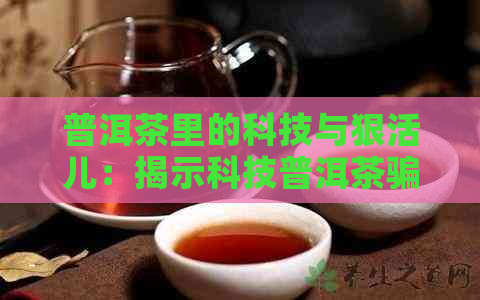 普洱茶里的科技与狠活儿：揭示科技普洱茶骗局的真相