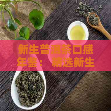 新生普洱茶口感年鉴： 精选新生代普洱茶的品鉴与评价