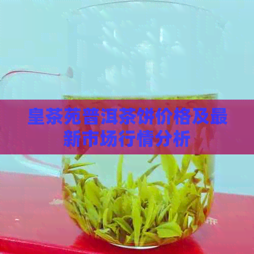 皇茶苑普洱茶饼价格及最新市场行情分析