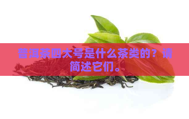 普洱茶四大号是什么茶类的？请简述它们。