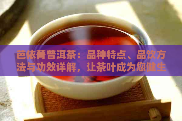 芭依菁普洱茶：品种特点、品饮方法与功效详解，让茶叶成为您健生活的良伴