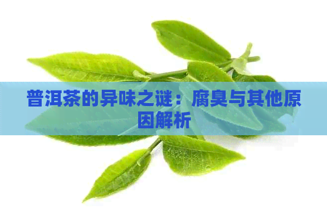 普洱茶的异味之谜：腐臭与其他原因解析