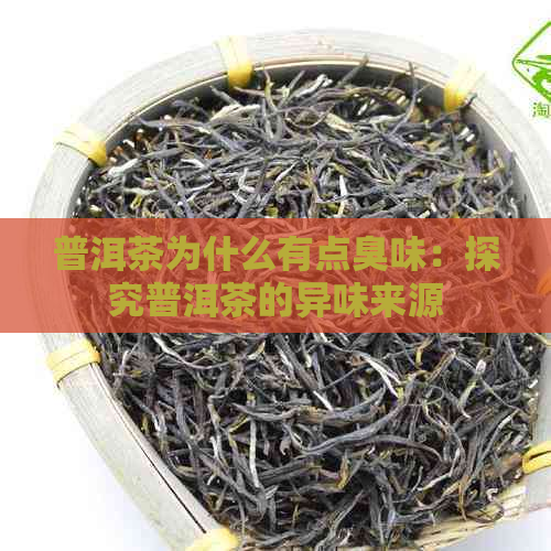 普洱茶为什么有点臭味：探究普洱茶的异味来源