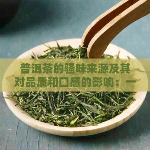 普洱茶的骚味来源及其对品质和口感的影响：一篇全面解析