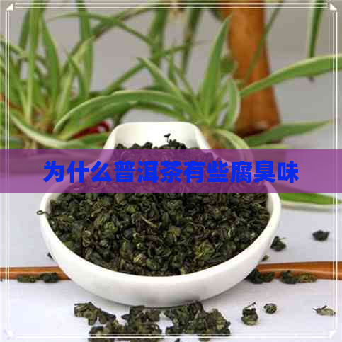 为什么普洱茶有些腐臭味