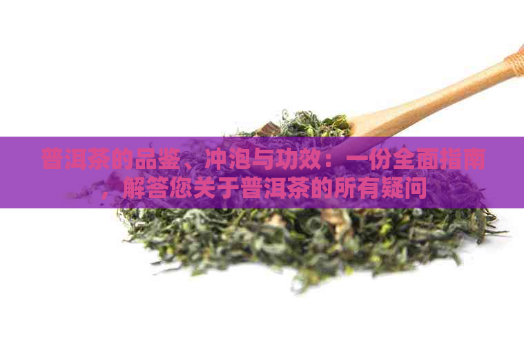 普洱茶的品鉴、冲泡与功效：一份全面指南，解答您关于普洱茶的所有疑问