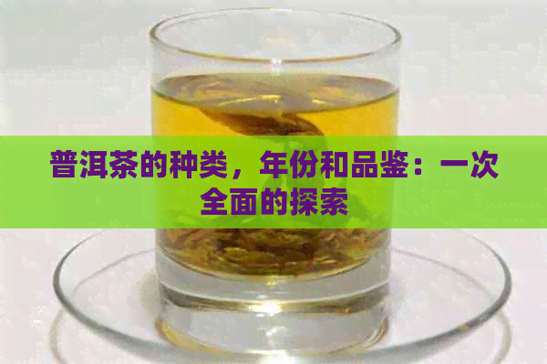 普洱茶的种类，年份和品鉴：一次全面的探索