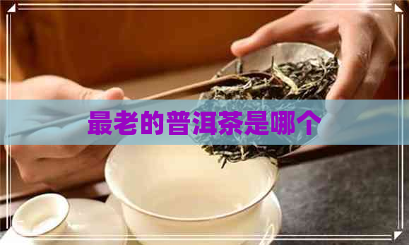 最老的普洱茶是哪个