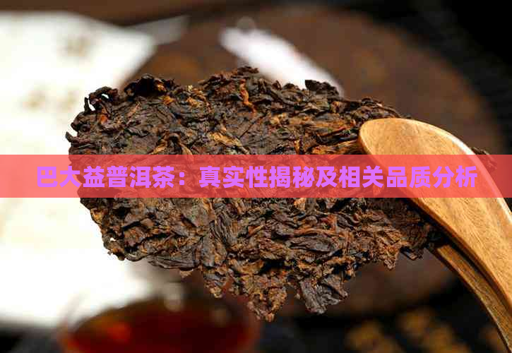 巴大益普洱茶：真实性揭秘及相关品质分析