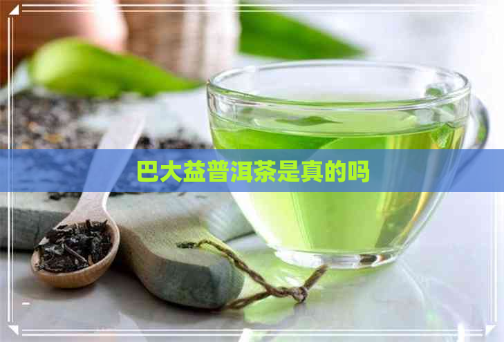 巴大益普洱茶是真的吗