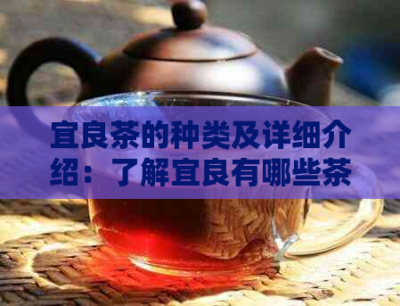 宜良茶的种类及详细介绍：了解宜良有哪些茶叶，品尝不同的风味