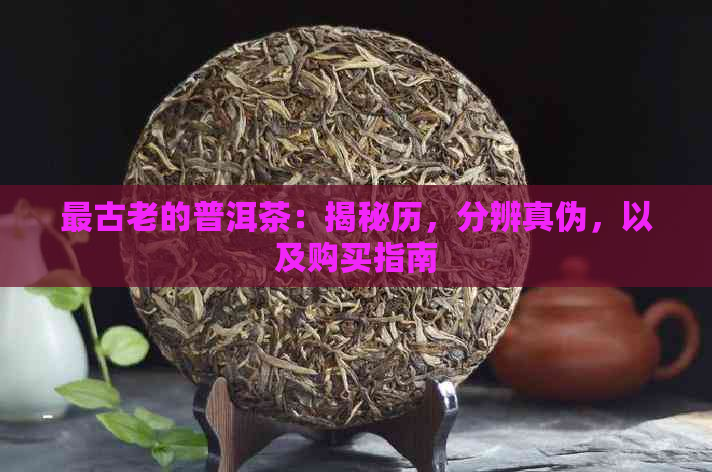 最古老的普洱茶：揭秘历，分辨真伪，以及购买指南