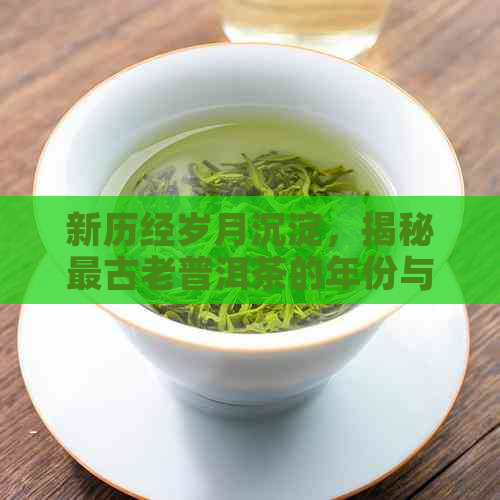 新历经岁月沉淀，揭秘最古老普洱茶的年份与魅力