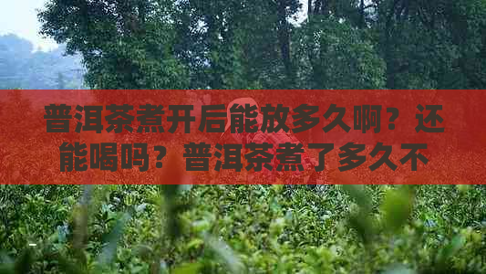 普洱茶煮开后能放多久啊？还能喝吗？普洱茶煮了多久不能喝？