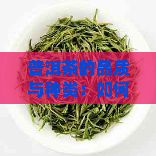 普洱茶的品质与种类：如何挑选上好的普洱茶？