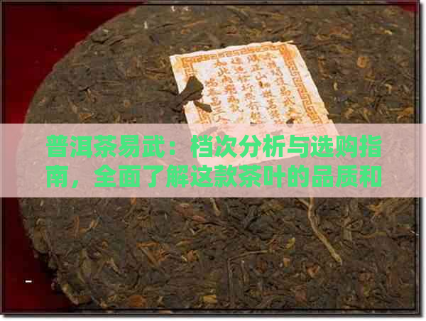 普洱茶易武：档次分析与选购指南，全面了解这款茶叶的品质和价值