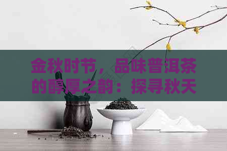 金秋时节，品味普洱茶的醇厚之韵：探寻秋天里普洱茶的独特名字