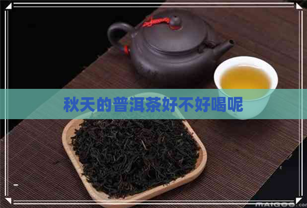 秋天的普洱茶好不好喝呢