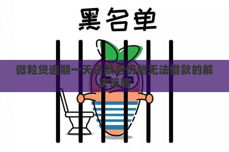 微粒贷逾期一天还款后仍然无法借款的解决策略