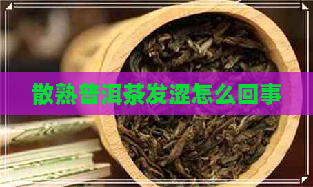 散熟普洱茶发涩怎么回事