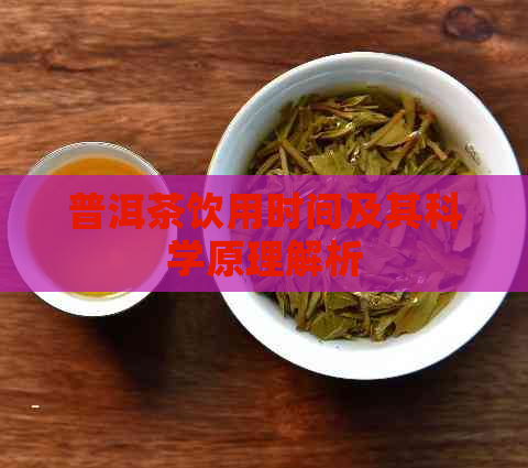 普洱茶饮用时间及其科学原理解析