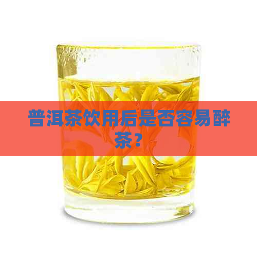 普洱茶饮用后是否容易醉茶？