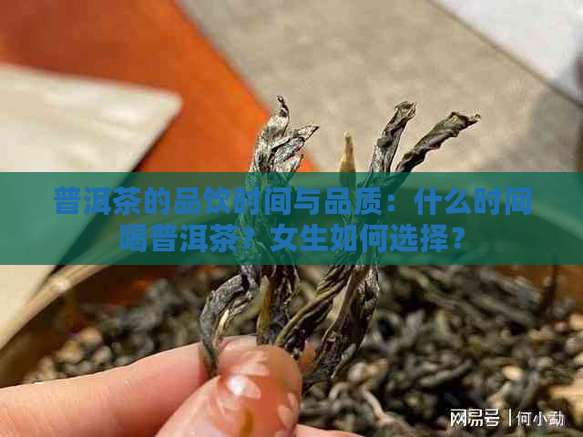 普洱茶的品饮时间与品质：什么时间喝普洱茶？女生如何选择？