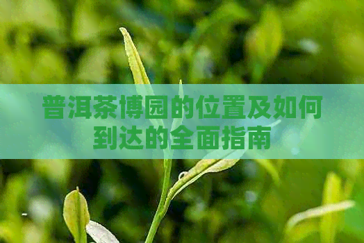 普洱茶博园的位置及如何到达的全面指南