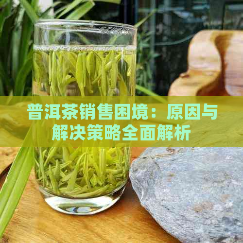 普洱茶销售困境：原因与解决策略全面解析