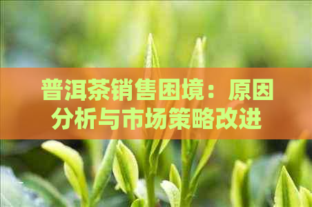 普洱茶销售困境：原因分析与市场策略改进