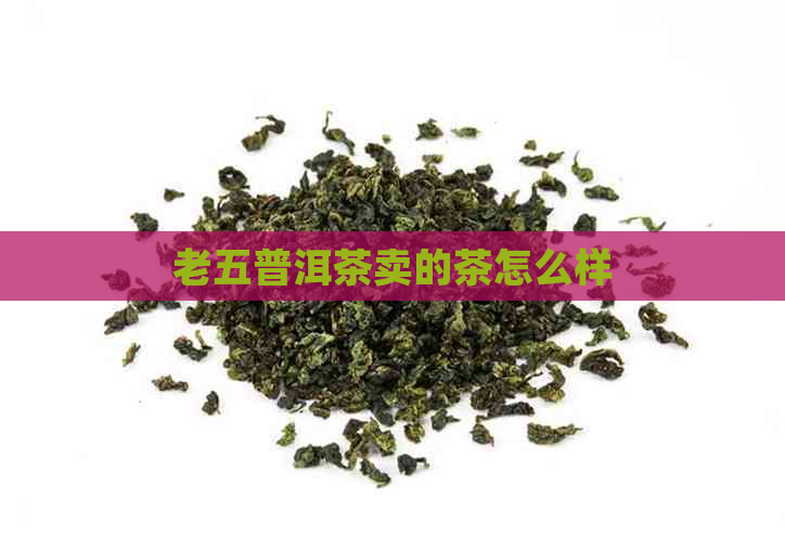 老五普洱茶卖的茶怎么样