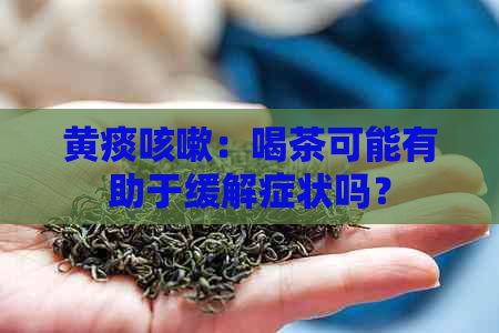 黄痰咳嗽：喝茶可能有助于缓解症状吗？